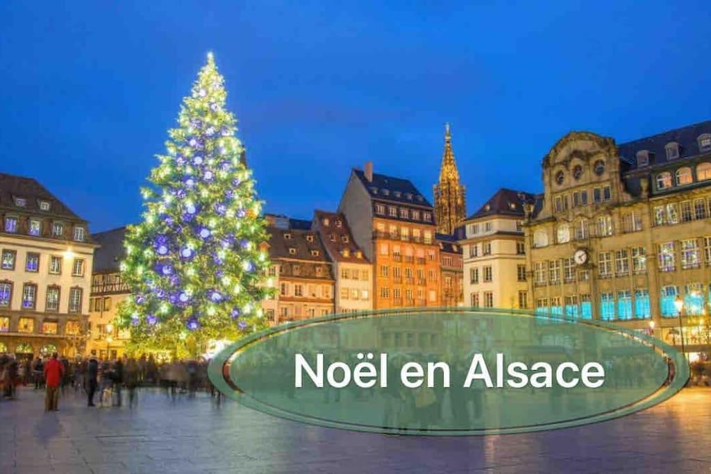 Gite Classe 4 Etoiles  La Maison Du Tonnelier Oberbronn Luaran gambar