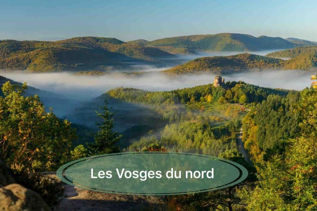 Gite Classe 4 Etoiles  La Maison Du Tonnelier Oberbronn Luaran gambar