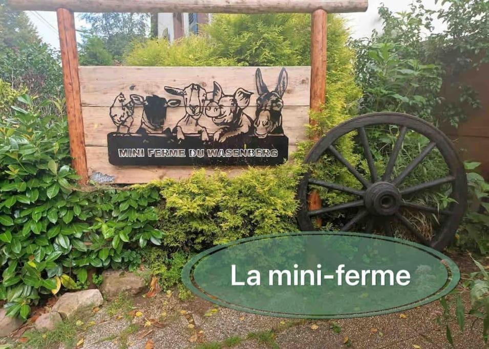 Gite Classe 4 Etoiles  La Maison Du Tonnelier Oberbronn Luaran gambar